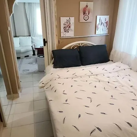 Villa 3 Katli 6 4 Banyo *