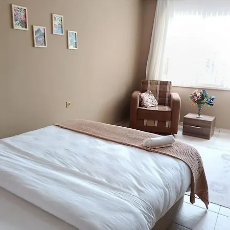 3 Katli 6 4 Banyo Villa